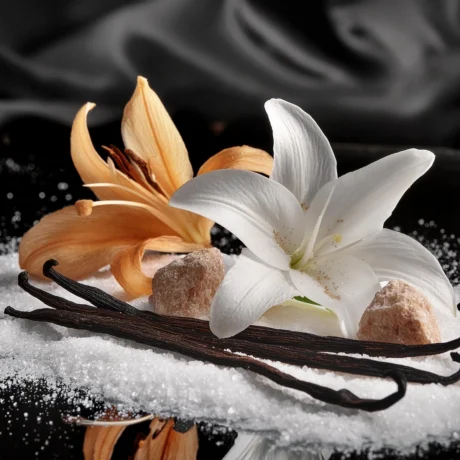 Scent notes for OLYMPEA