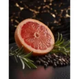 Scent notes for TERRE D'HERMES
